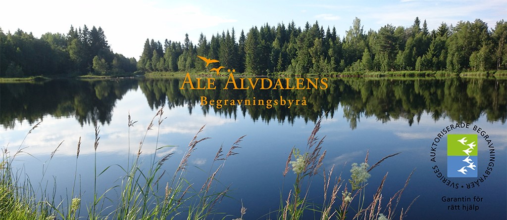 Main Header Image